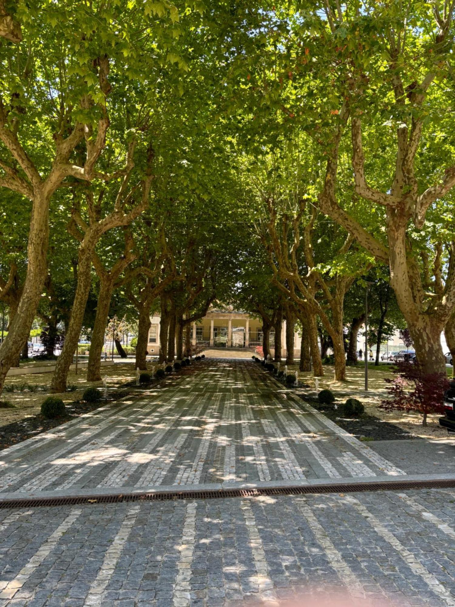 Aconchego Home Caldas de Sao Jorge Εξωτερικό φωτογραφία